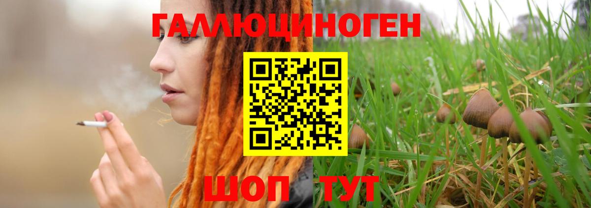 Чебоксары  наркошоп  Вход с VPN  Псилоцибиновые грибы Magic Shrooms 
